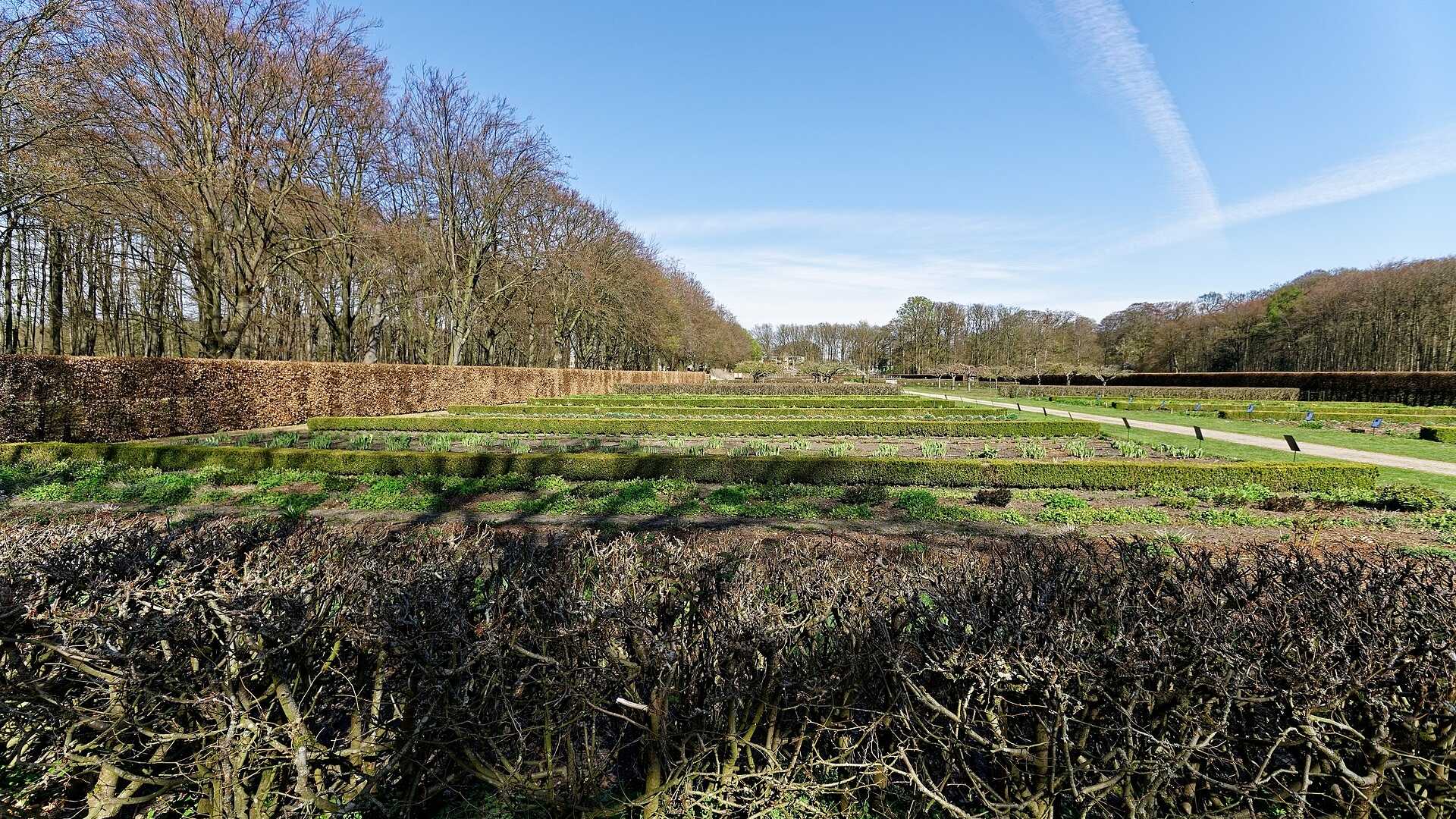 Onderhoudde moestuin met rechte plantpercelen en paden