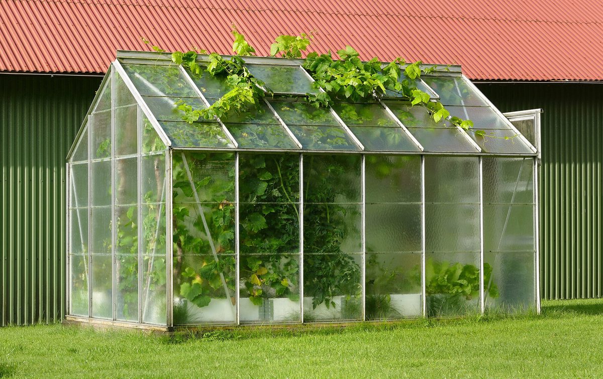 Kleine kas in de tuin